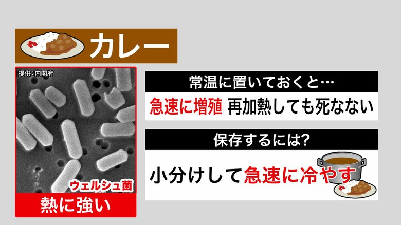 カレーに付着しやすいウェルシュ菌