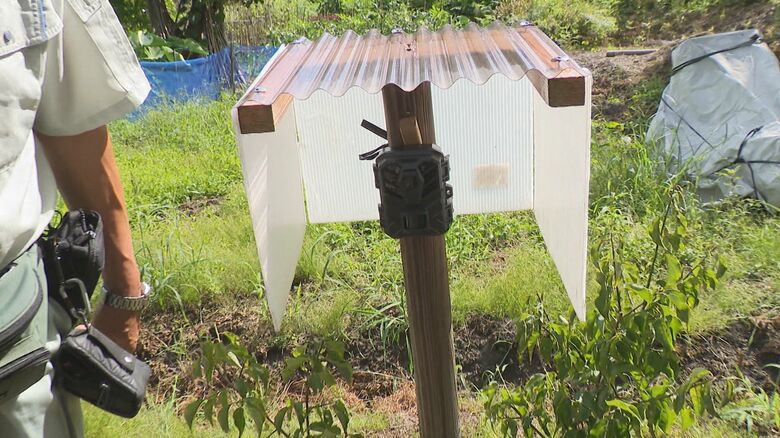 動物を撮影するためのカメラ