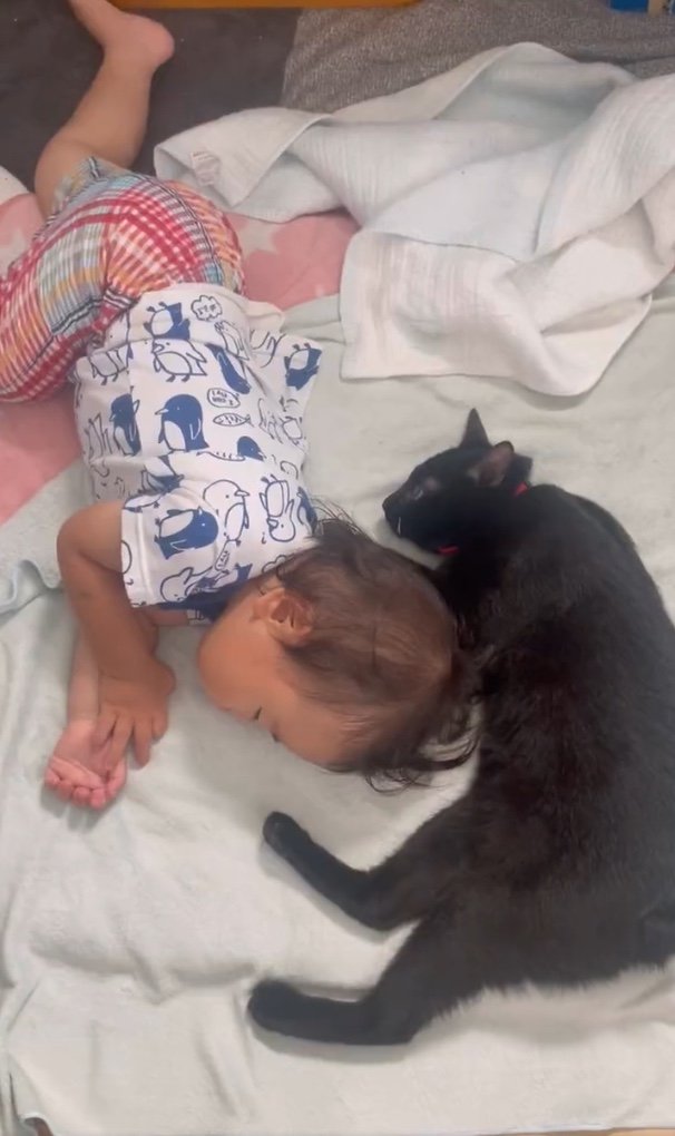 提供：ゴンゾウR4さん