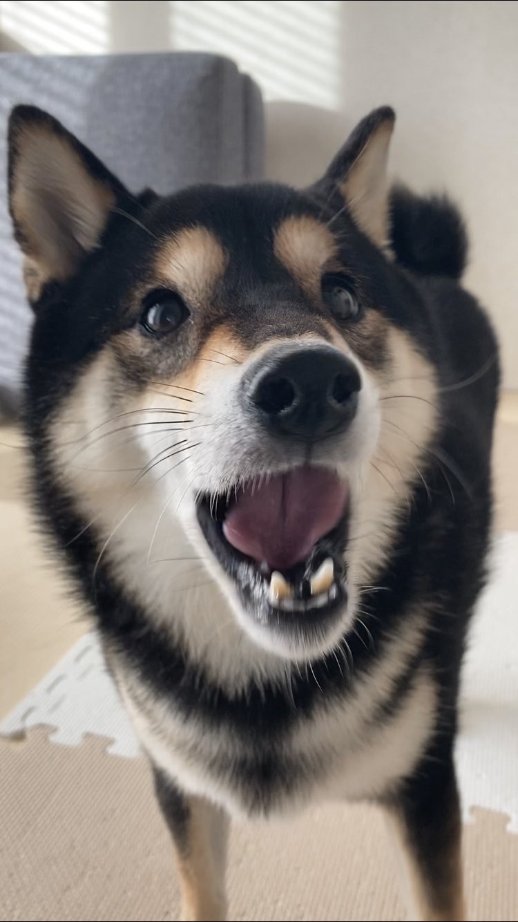 えええええーーー!?