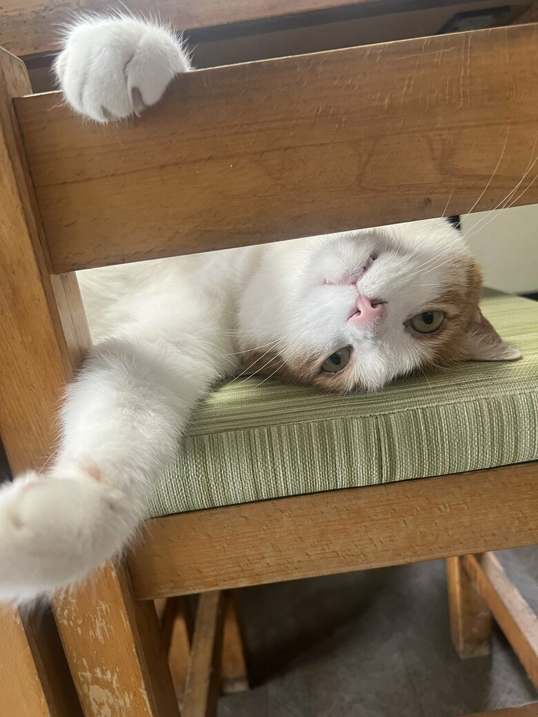 逆さまからこんにちは