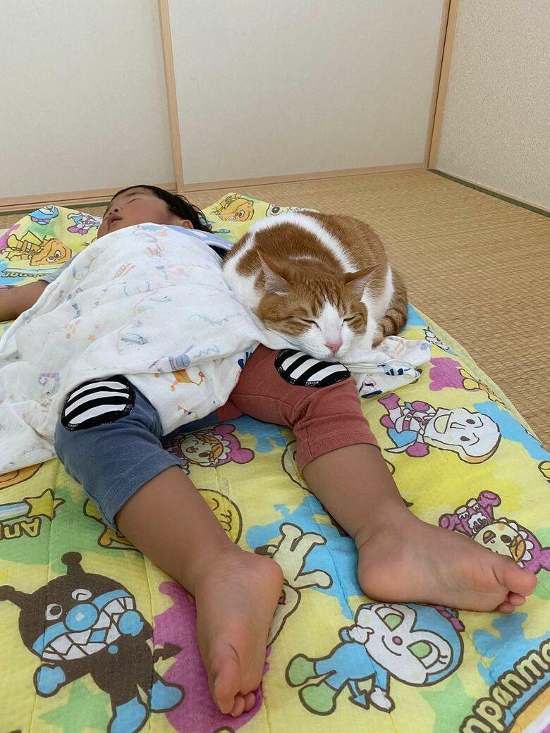 提供：Hassakuさん