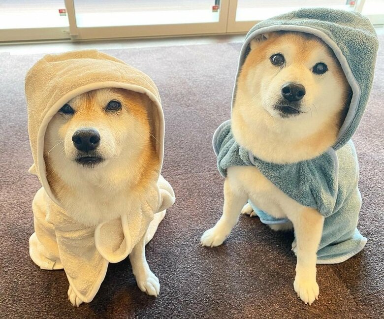 バスローブも似合っている