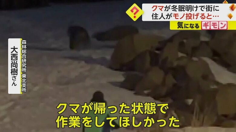 作業はクマが去った状態でで行ってもらいたいと大西氏は語る