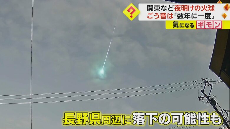 （提供：平塚市博物館 藤井大地さん）