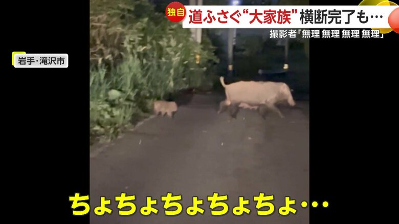 「えっ！？うそでしょ、ちょちょちょちょちょ…」と声をあげる撮影者