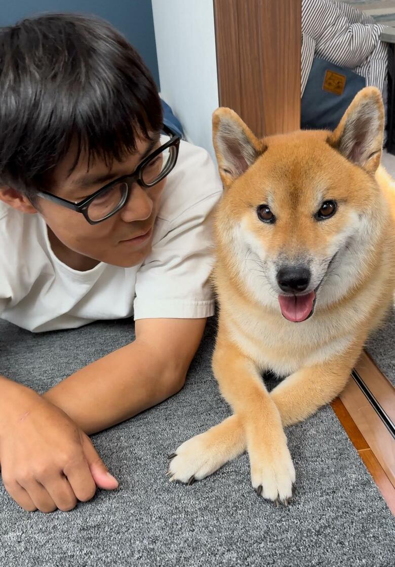 提供：柴犬ぽてとさん