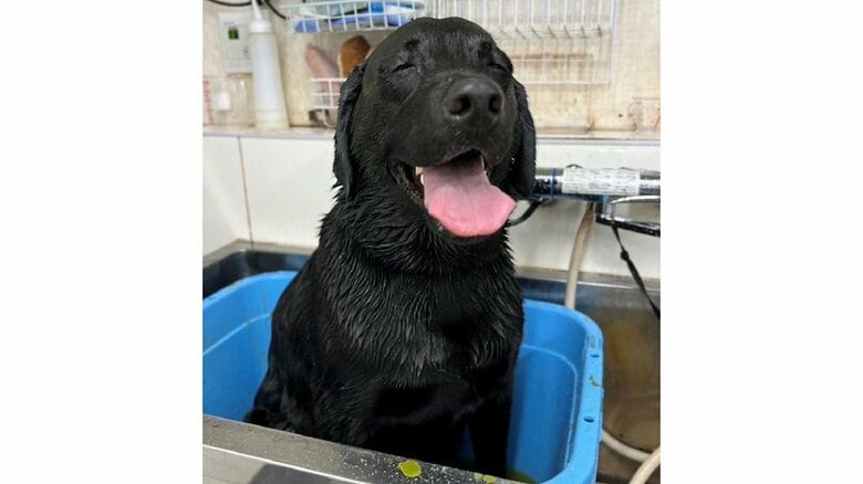 サロンの温浴中