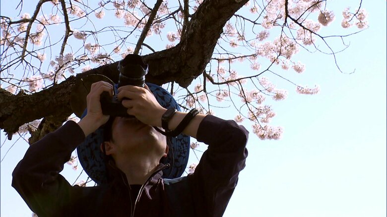 樹齢は約650年　その佇まいに魅了されて