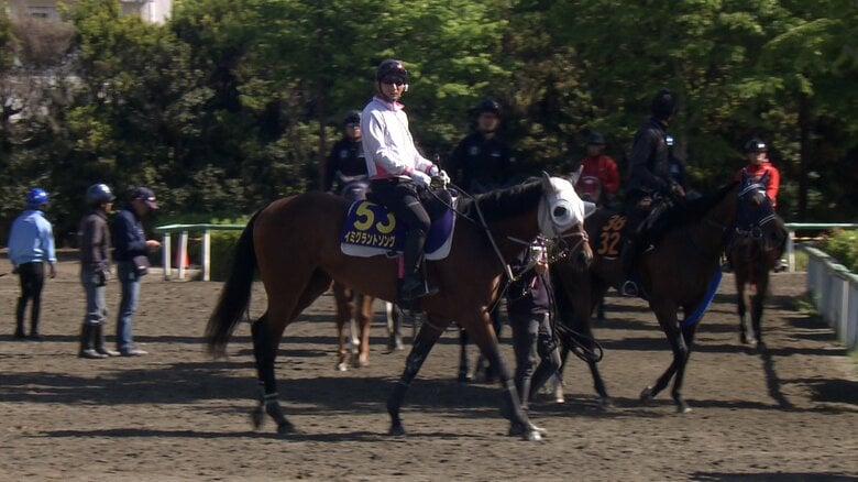 最終追い切りに臨むイミグラントソング