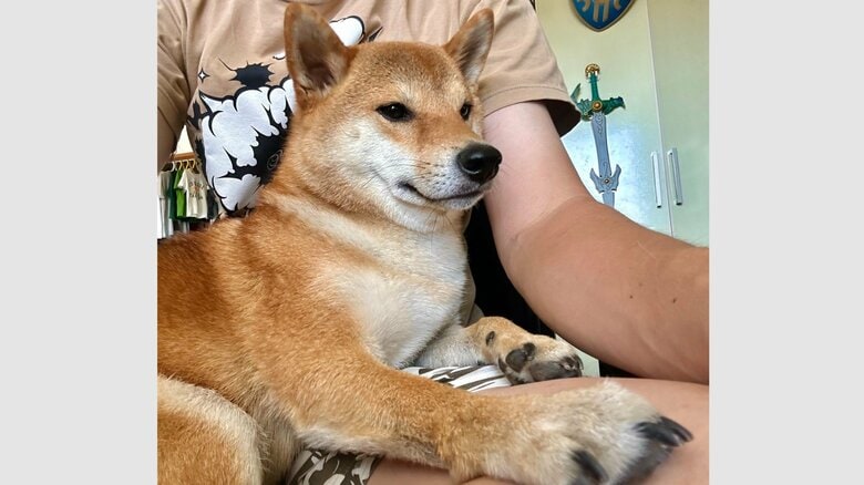 デレモードのむぎまるくん