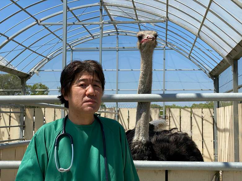 提供：塚本康浩