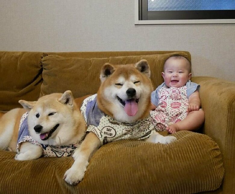 左から　むくみちゃん、べりやんくん、娘さん