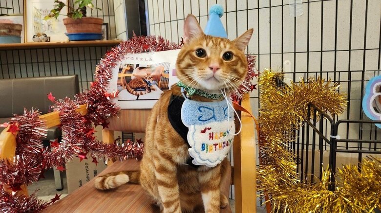 4歳のお誕生日会