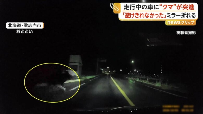 “クマ”が道路に飛び出す瞬間