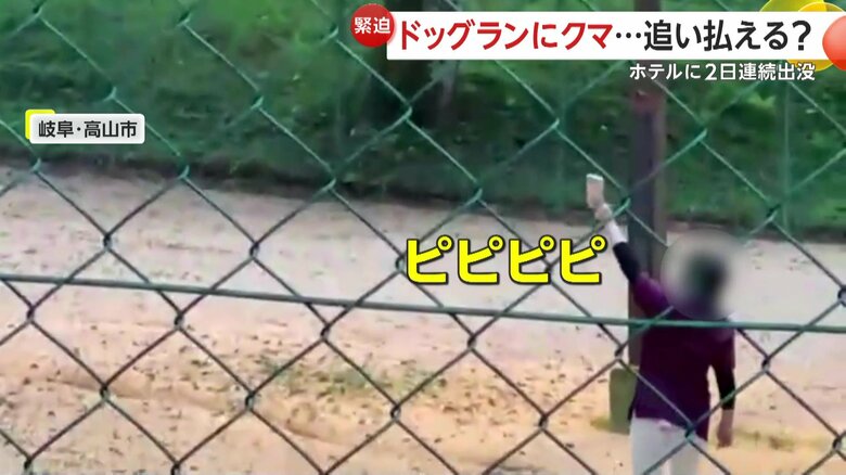 クマを追い払うためにスマートフォンで「ピピピピ」と電子音を鳴らす様子も