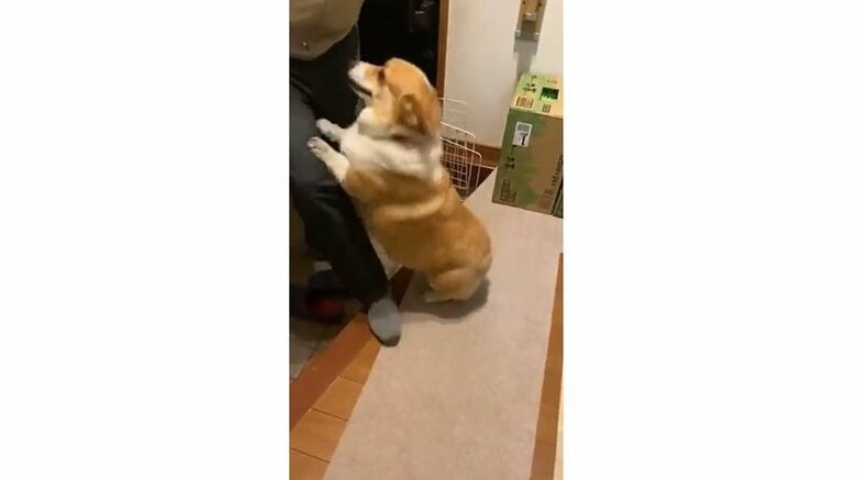 溢れんばかりの愛情を感じる