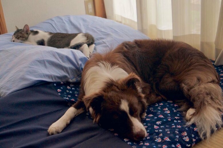 提供：ゆに＆メッシさん