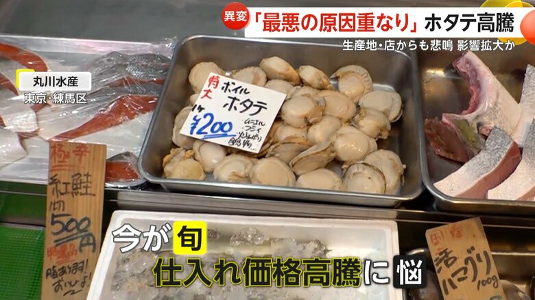 ホタテの仕入れ価格の高騰に頭を悩ませている東京・練馬区の「丸川水産」