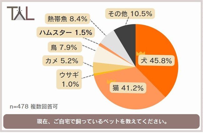 円グラフ ペット 販売 割合 亀