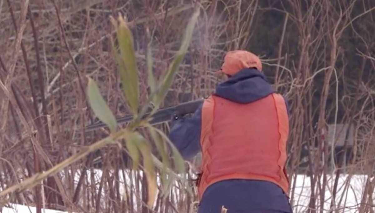 ヤッホ ヤッホ の声が消える 人口43人の集落で伝統のクマ狩りが存続危機 Fnsドキュメンタリー大賞19