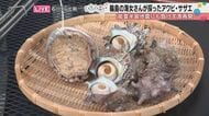 彦摩呂さんが「海女さん、ありがとう」―能登半島地震・豪雨を乗り越えた輪島の海女が採る極上サザエとアワビ、しゃもじで剥いてかぶりついたその味