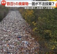 高さ12メートルの“ゴミの山”不法投棄が幹線道路沿いを埋め尽くす…「甚大な環境災害」も清掃費50億円超と試算　イギリス