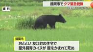 鶴岡市で緊急銃猟・1.5メートルのクマ駆除　屋外飼育のイヌ腹かまれ死ぬ　クマ目撃件数2732件　山形