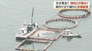 【赤潮警報】鹿児島・長島町で31万匹の養殖ブリが被害　温暖化影響か、発生時期の拡大が深刻