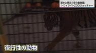 普段見ることのできない動物の生態が…閉園後の動物を観察　トワイライトZOOウォッチャー