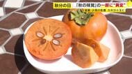 「道の駅」で秋の味覚が人気　“ワケあり”商品コーナーは混雑　一部フルーツは猛暑や少雨が影響も「味としては十分」　福岡