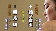 朝乃山 二場所連続の勝ち越しも目標の二桁勝利はならず 大相撲春場所 千秋楽