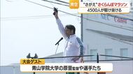 全国から参加したランナーが爽やかな汗　「さがえ」さくらんぼマラソン　山形・寒河江市