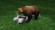  【九死に一生】「顔をかまれると思った」体長1.5mのクマに襲われ転倒、顔を狙われた男性がとっさの抵抗で無事生還…過去には死亡事例も存在、山に入る際は万全な準備を〈北海道士別市〉 