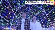 今治市のタオル美術館でイルミネーション始まる　世界的に人気のあのキャラクターも【愛媛】