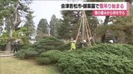 冬の風物詩　御薬園の雪吊り作業始まる　マツの木の枝を雪の重さから守る　福島・会津若松市　