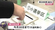 衆議院選挙 期日前投票始まる