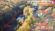 モミジで染まる「日本庭園」