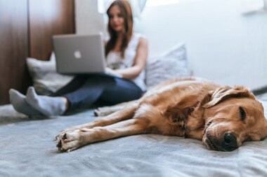 日本における知名度ゼロの外資系企業が「インバウンド分析サービス」を立ち上げるまで
