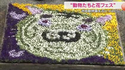 フラワーアートや迷路も…岡山市の池田動物園を約３万本の花で彩る「動物たちと花フェス」始まる【岡山】