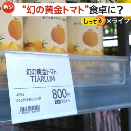 1缶800円！幻の“黄金トマト”が食卓に…取り扱うレストランやスーパーが増加　糖度高く“うまみ”成分が豊富　贈答用としても人気