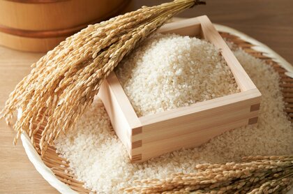 “コメ不足”あと2カ月の我慢！異常気象とインバウンド復活で価格が高騰する中“猛暑に強い”新種が続々登場