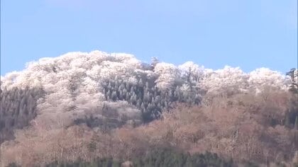 冬型の気圧配置　県内ほとんどの観測地点で今季一番の寒さに
