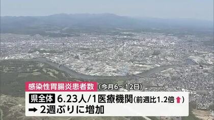 感染性胃腸炎、2週ぶりに増加　例年より高水準で推移　インフルエンザは3週連続減少　秋田