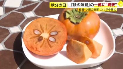 「道の駅」で秋の味覚が人気　“ワケあり”商品コーナーは混雑　一部フルーツは猛暑や少雨が影響も「味としては十分」　福岡
