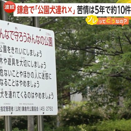 【難題】鎌倉市ほとんどの公園“犬連れ禁止”「犬は獣だからね」「少し寛容になってほしい」　苦情は5年で約10件も…“犬連れ可”は12カ所のみ