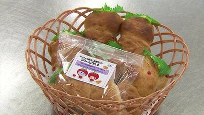 高校生が新商品のパン開発　大学と連携　校内栽培オリジナル品種のイチゴから酵母抽出【鳥取発】