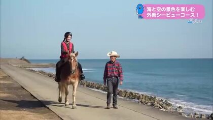 【トレリン】今年は午年　気軽に楽しめる乗馬体験