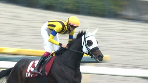 【アルゼンチン共和国杯・GⅡ＆みやこS・GⅢ】東京ではタフな2500mで大逃げ成功＆人馬で悲願達成！京都では世界一番星のジョッキーが輝く！