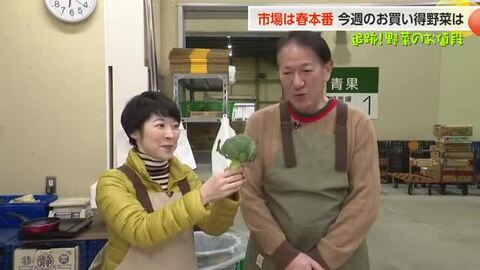 市場は春野菜が一気に増加、高値品目にも変化の兆し　ブロッコリー「指定野菜」入りで注目度がさらに高まる